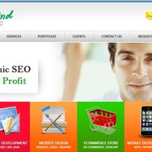 Online Marketing Article - Hire That Web Designer Who Knows The SEO